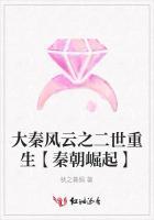 大秦风云之二世重生