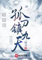 梦启之孤刀镇九天