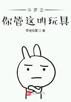 斗罗之你管这叫玩具