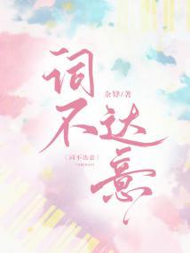 词不达意