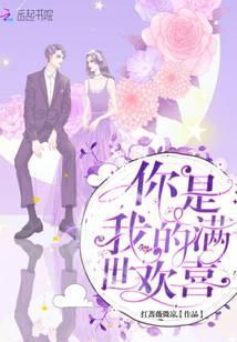 你是我的满世欢喜