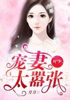 叶少，宠妻太嚣张