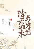 浩天湘水与岸回