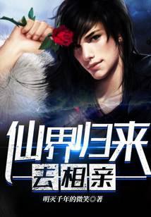 仙界归来去相亲
