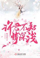 许君不知情深浅