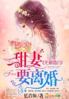 甜妻要离婚