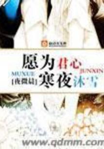 愿为君心寒夜沐雪