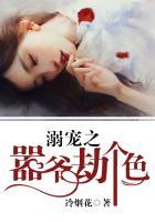 溺爱之嚣爷劫暖妻