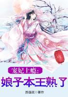 溺宠之悍妃当盗