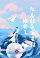 摊牌了，陆总就是宠妻精