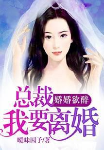 婚婚欲醉：总裁我要离婚