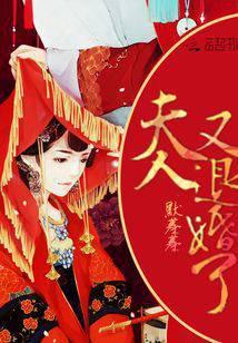 夫人又退婚了