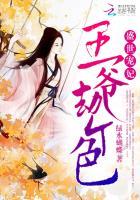 盛世宠妃：王爷劫个色