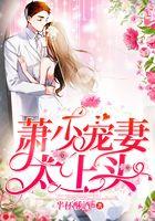 萧少宠妻太上头