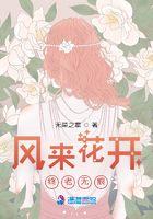 风来花开终老无痕