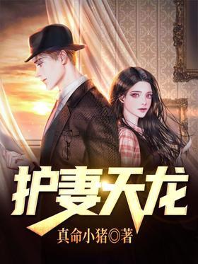 护妻天龙