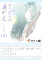 盛开在时光深处的暖阳