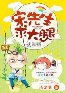 宋先生，求大腿