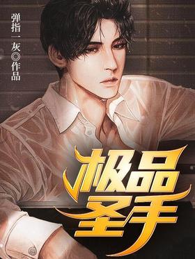 极品圣手