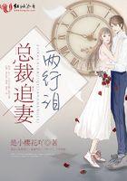 总裁追妻两行泪