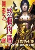 网游之终极肉盾