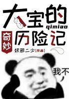 大宝的奇妙历险记