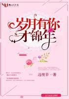 岁月有你才锦年