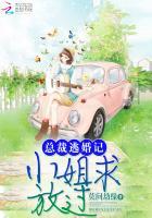 总裁逃婚记：小姐，求放过