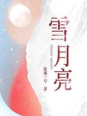 雪月亮