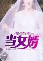 魔帝归来当女婿