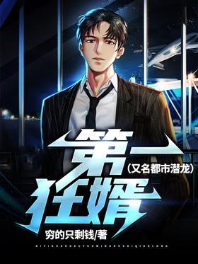 第一狂婿