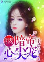 我家小姐是继承者