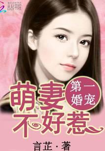 第一婚宠：萌妻不好惹