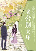 蜜宠甜妻：老公别太坏