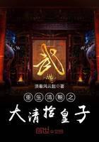 重生清朝之大清拾皇子