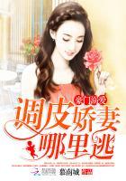 豪门溺爱：调皮娇妻哪里逃