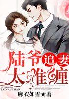 陆爷追妻太难缠
