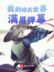 我的综武世界满屏弹幕