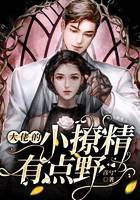 大佬的小撩精有点野
