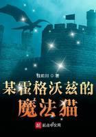 某霍格沃兹的魔法猫