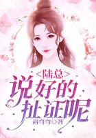 陆总，说好的扯证呢！