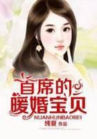 首席的暖婚宝贝