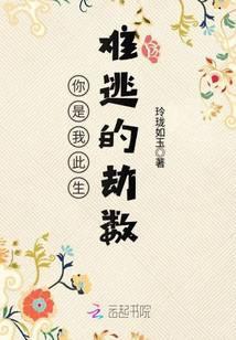 你是我此生难逃的劫数