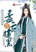 反派权相他毒舌又腹黑