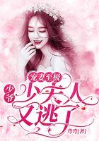 宠妻至极：少爷，少夫人又逃了