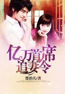亿万首席追妻令