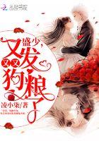 盛少，又又又发狗粮了