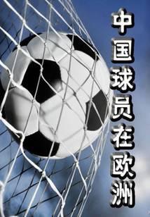 中国球员在欧洲