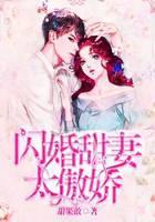 闪婚甜妻太傲娇