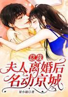 总裁，夫人离婚后名动京城